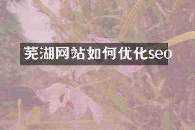 芜湖网站如何优化seo