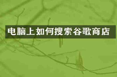 电脑上如何搜索谷歌商店