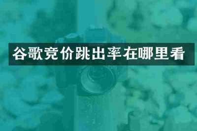 谷歌竞价跳出率在哪里看