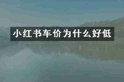 小红书车价为什么好低