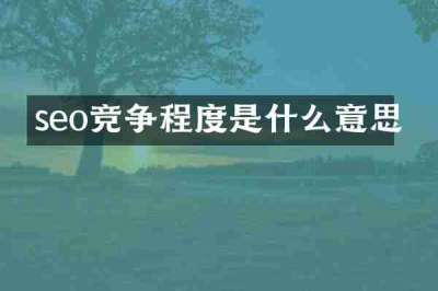 seo竞争程度是什么意思