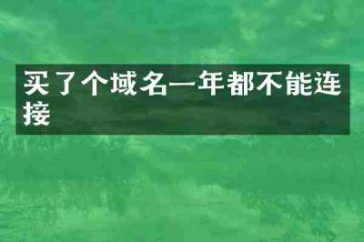 买了个域名一年都不能连接