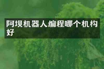 阿坝机器人编程哪个机构好