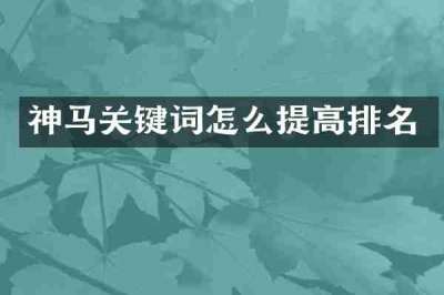 神马关键词怎么提高排名