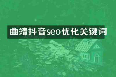 曲靖抖音seo优化关键词