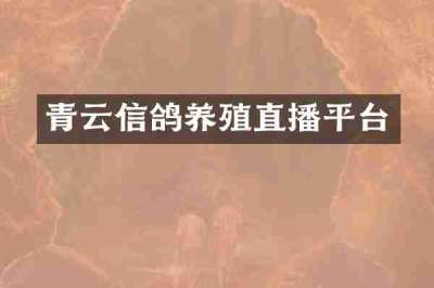 青云信鸽养殖直播平台