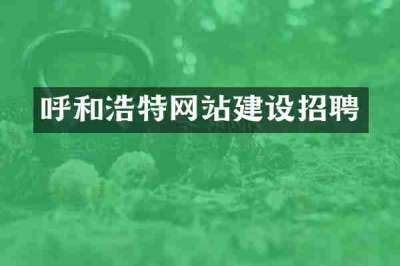 呼和浩特网站建设招聘
