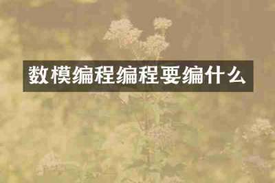 数模编程编程要编什么