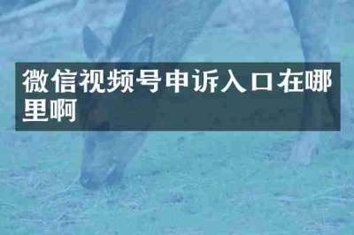 微信视频号申诉入口在哪里啊