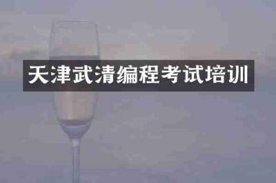 天津武清编程考试培训