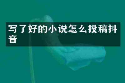 写了好的小说怎么投稿抖音
