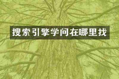 搜索引擎学问在哪里找