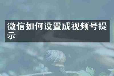 微信如何设置成视频号提示