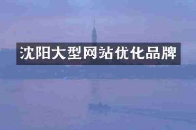 沈阳大型网站优化品牌