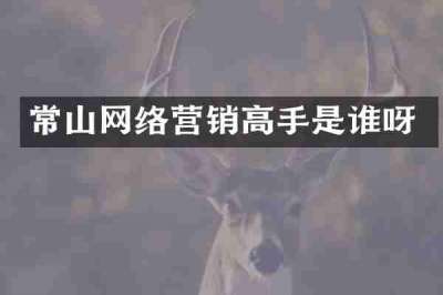常山网络营销高手是谁呀
