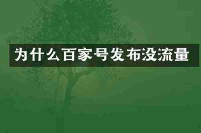 为什么百家号发布没流量