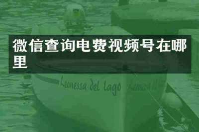 微信查询电费视频号在哪里