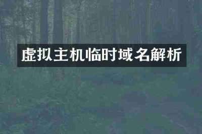 虚拟主机临时域名解析