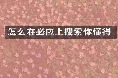 怎么在必应上搜索你懂得