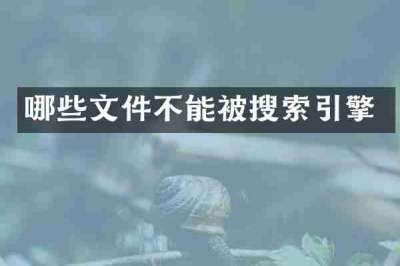 哪些文件不能被搜索引擎