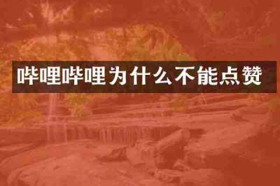哔哩哔哩为什么不能点赞