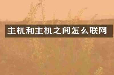 主机和主机之间怎么联网