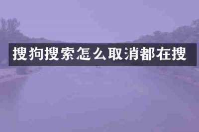 搜狗搜索怎么取消都在搜
