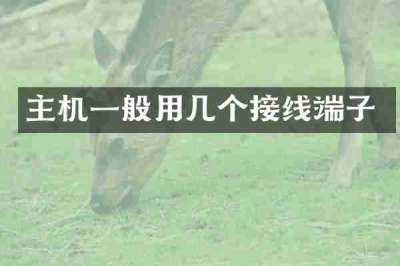 主机一般用几个接线端子