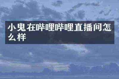 小鬼在哔哩哔哩直播间怎么样