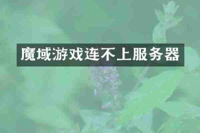 魔域游戏连不上服务器