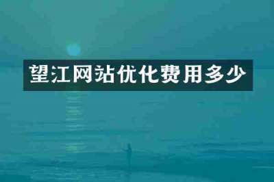 望江网站优化费用多少