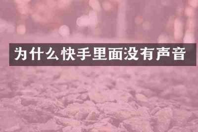 为什么快手里面没有声音