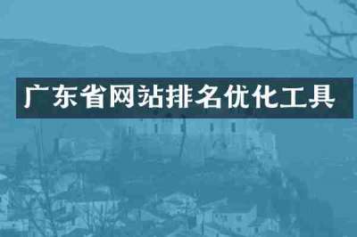 广东省网站排名优化工具