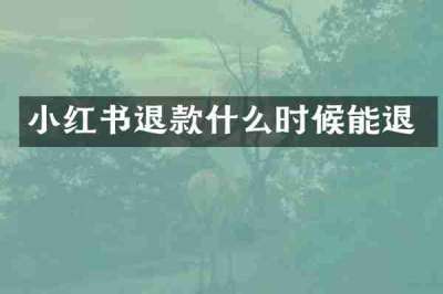 小红书退款什么时候能退