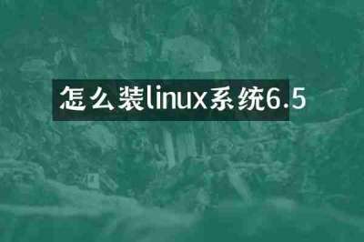 怎么装linux系统6.5