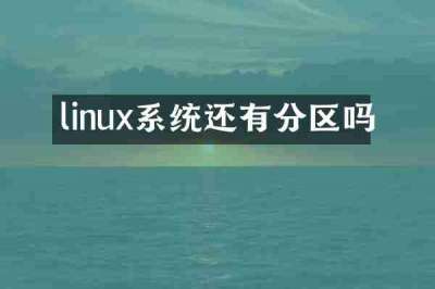 linux系统还有分区吗