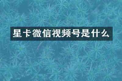 星卡微信视频号是什么