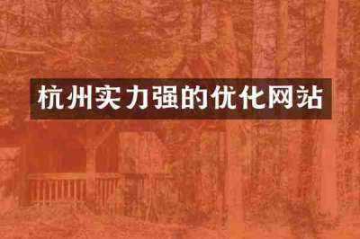 杭州实力强的优化网站