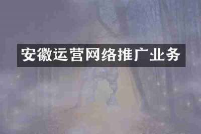 安徽运营网络推广业务