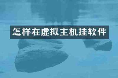 怎样在虚拟主机挂软件