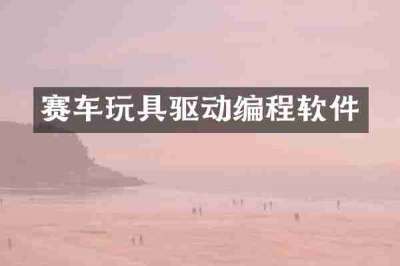 赛车玩具驱动编程软件
