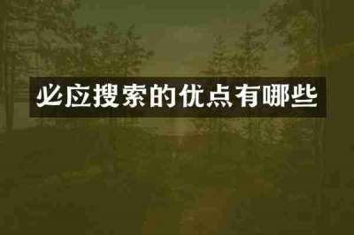 必应搜索的优点有哪些