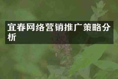 宜春网络营销推广策略分析