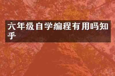 六年级自学编程有用吗知乎