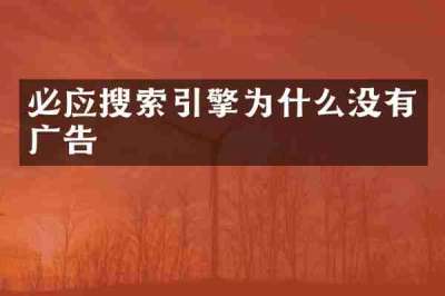 必应搜索引擎为什么没有广告