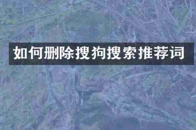 如何删除搜狗搜索推荐词