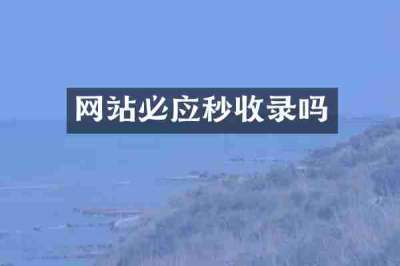 网站必应秒收录吗