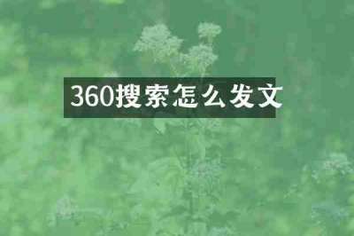 360搜索怎么发文
