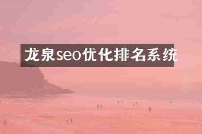 龙泉seo优化排名系统