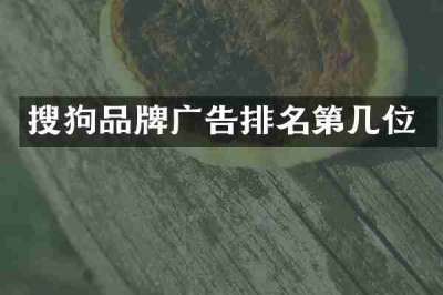 搜狗品牌广告排名第几位